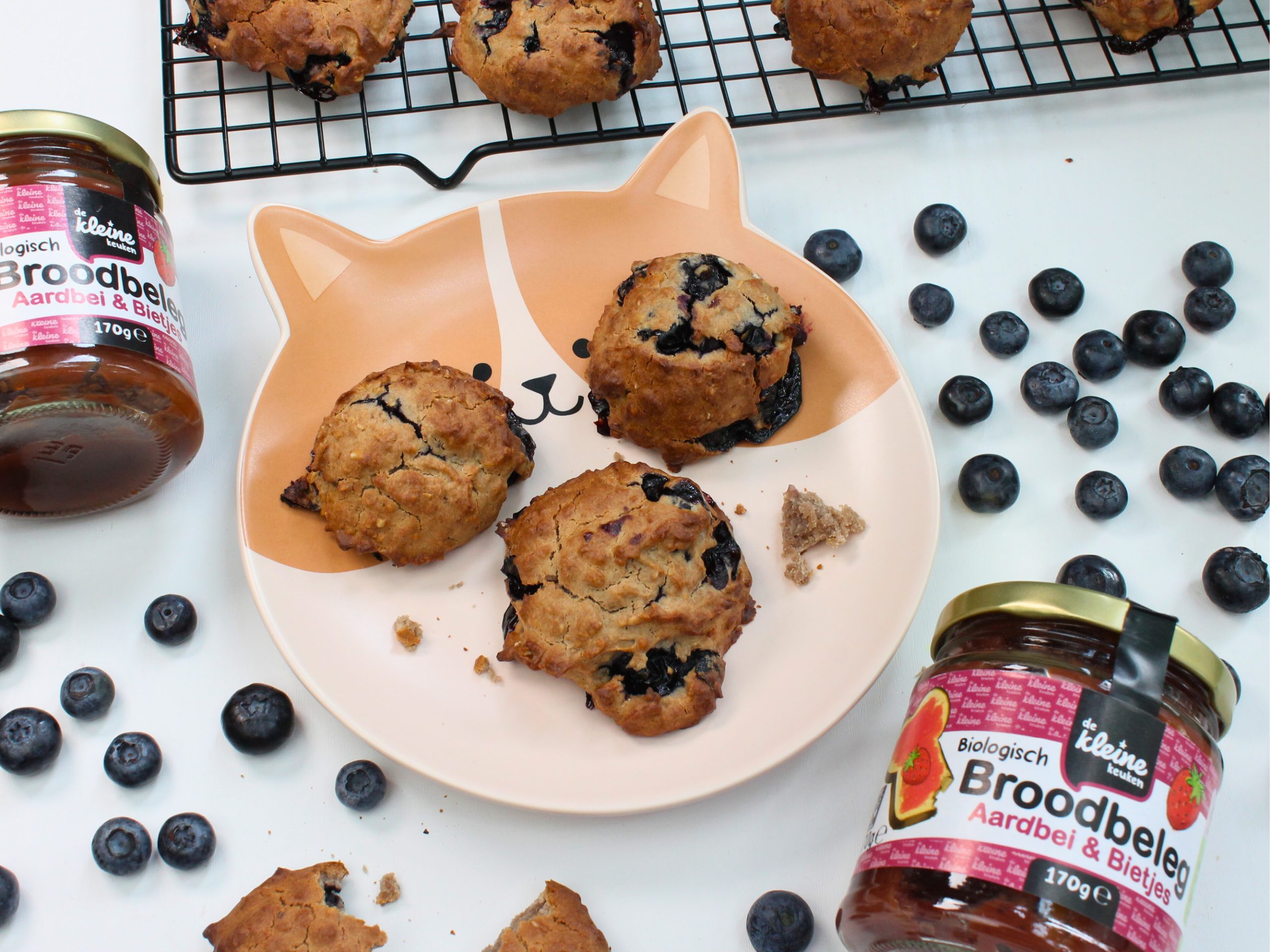 gezonde koekjes recept