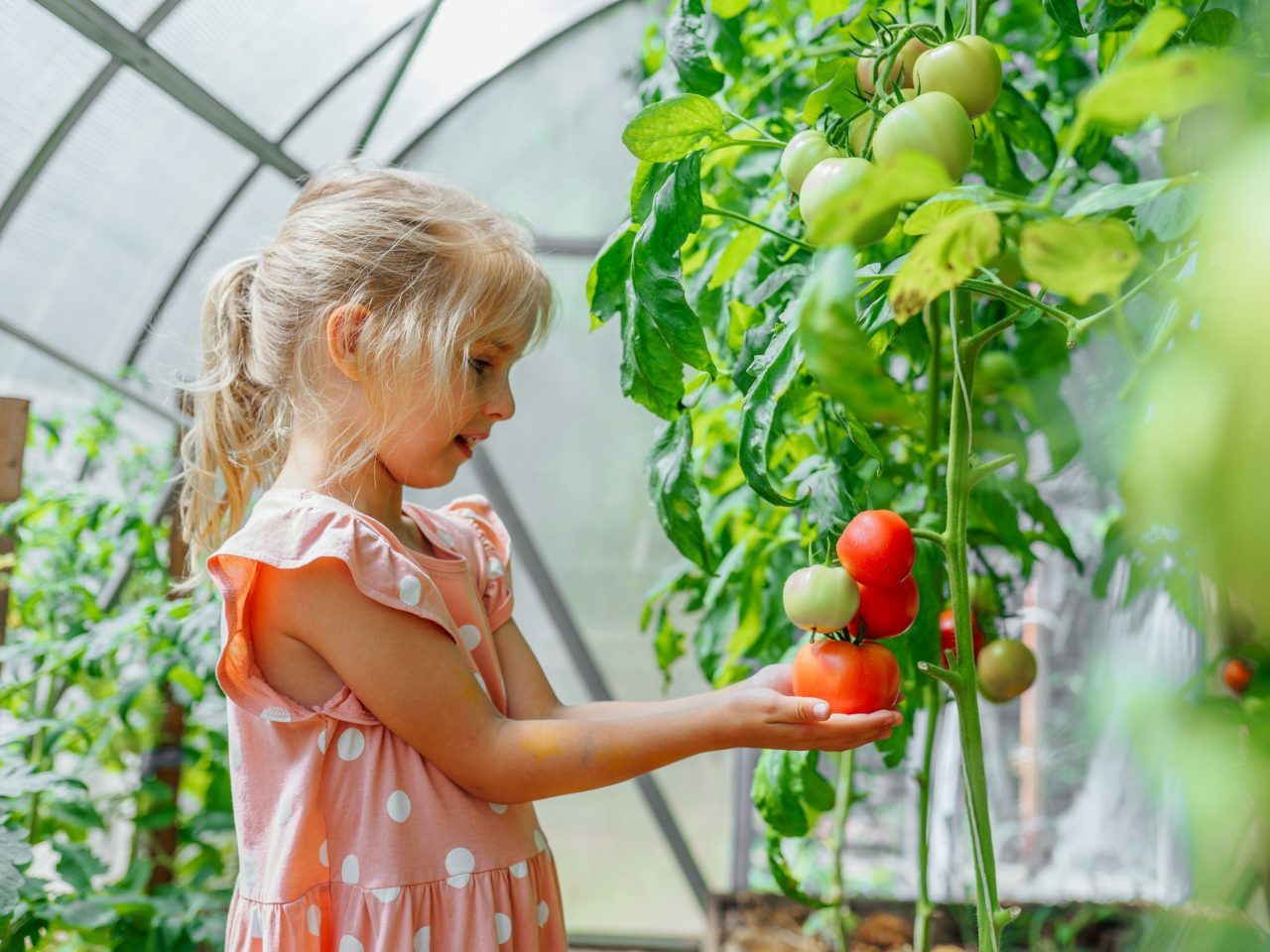 Gezond immuunsysteem kinderen